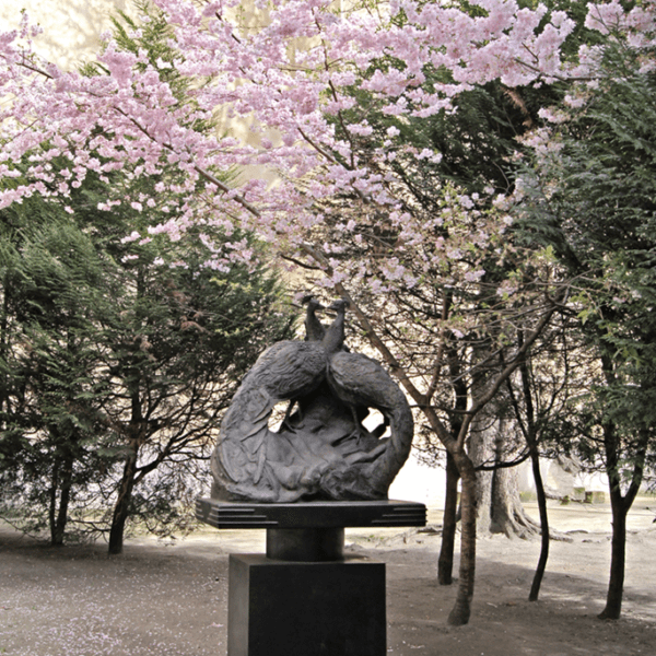 Statue et cerisier